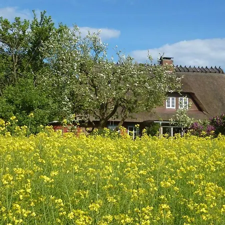 Goldhoeft 5 Holiday home Gelting