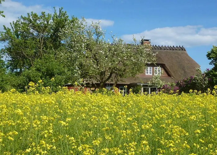 Goldhoeft 5 Casa de Férias Gelting