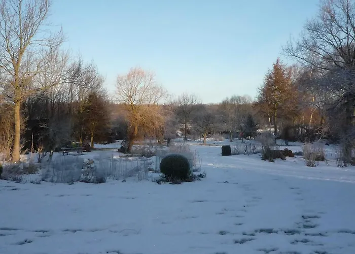 Goldhoeft 5 * Gelting