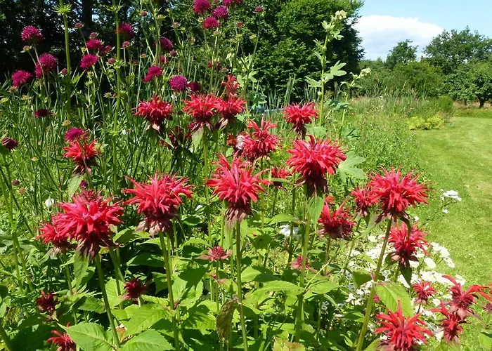 Casa de Férias Goldhoeft 5 Gelting